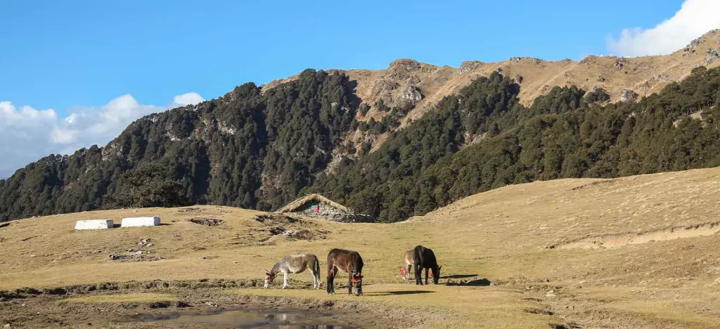 Panwali Kantha Trek