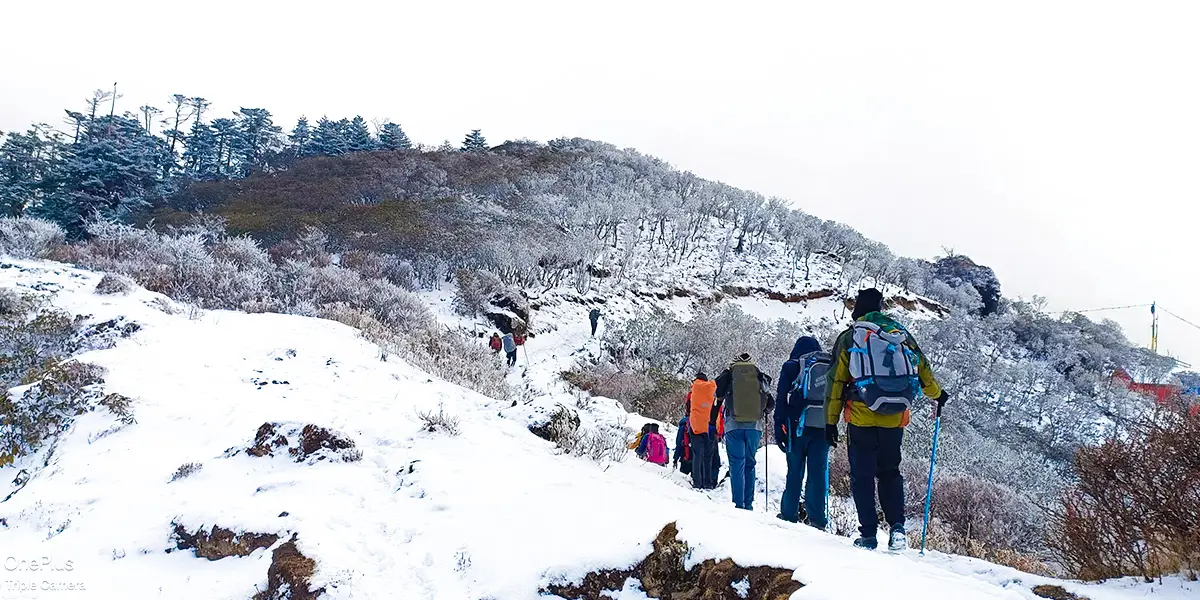 Sandakphu Trek