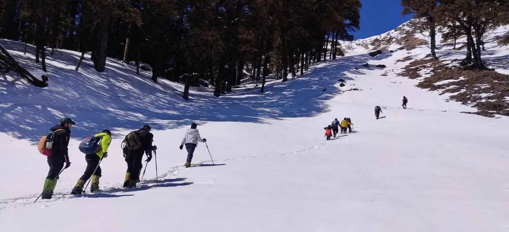 The Healing Power of The Himalayas