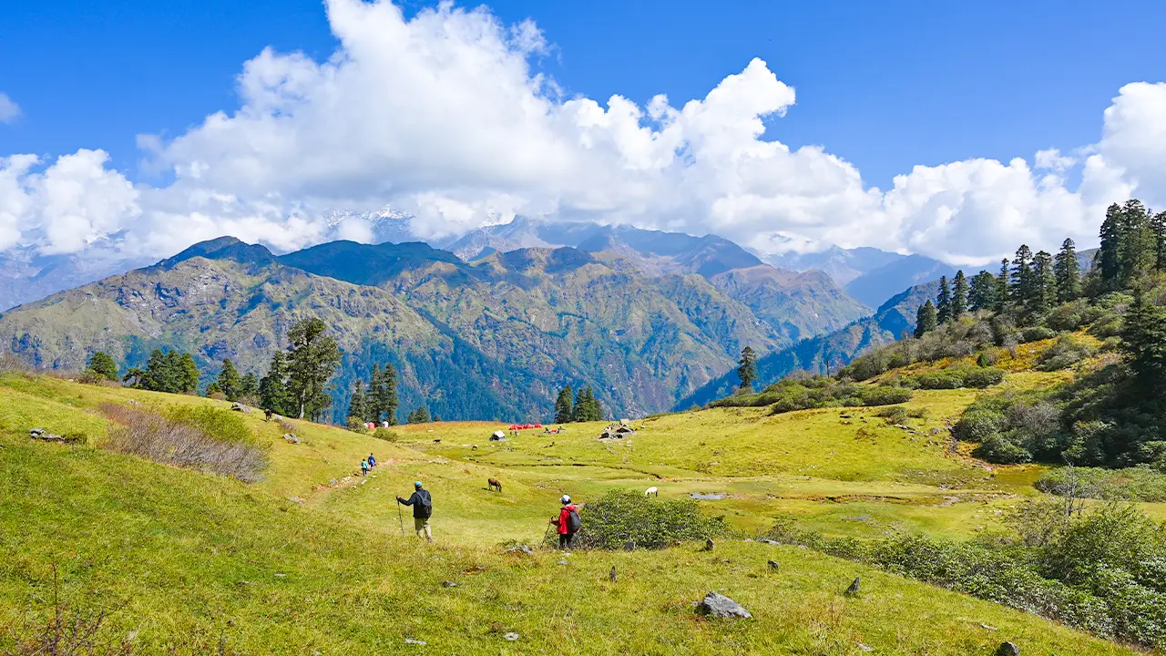Beautiful alpine meadows and mountain views on the Gulabi Kantha Trek