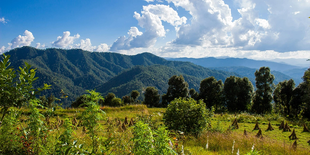 Binsar Weekend Trek