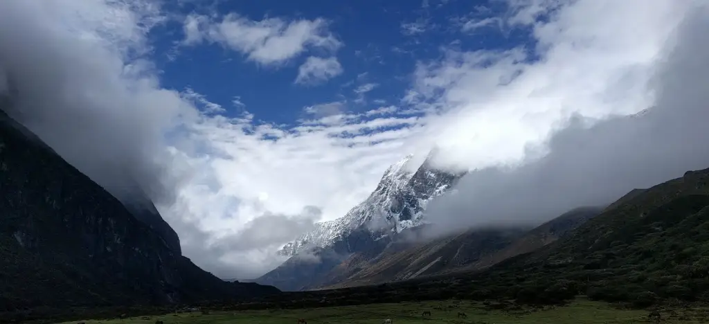 trekking in sikkim