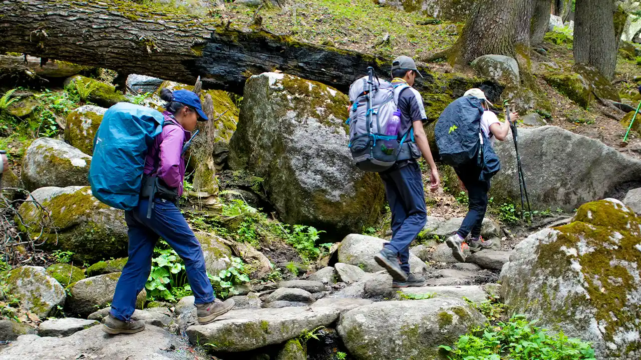 Trekking Shoes make your trek comfortable