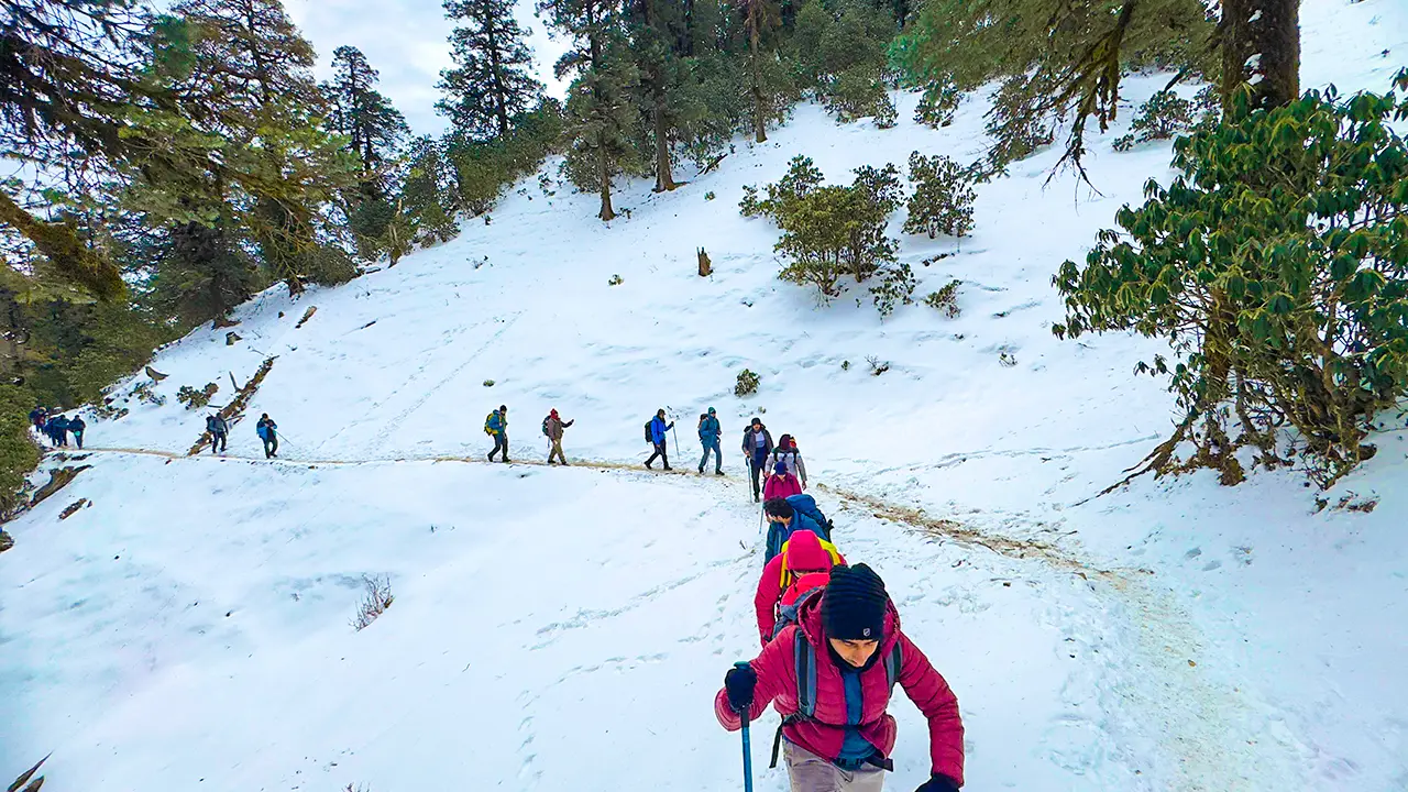 Trekkers hiking to Gujreni on Day 2 of the Brahmatal Trek