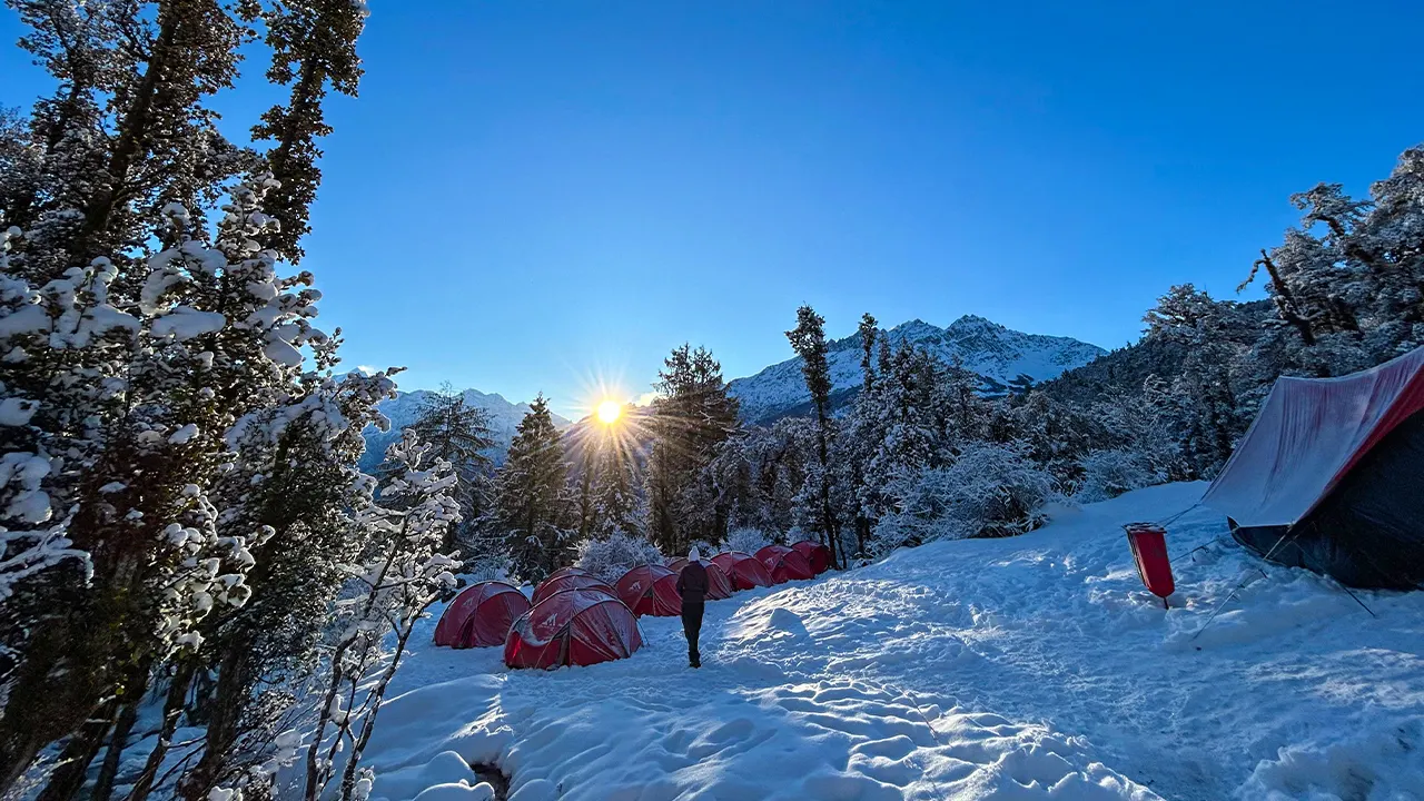 Winter campsite with Trek The Himalayas tents surrounded by snow-covered trees