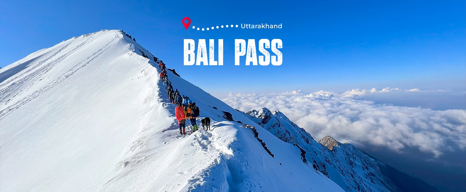 Bali Pass Trek