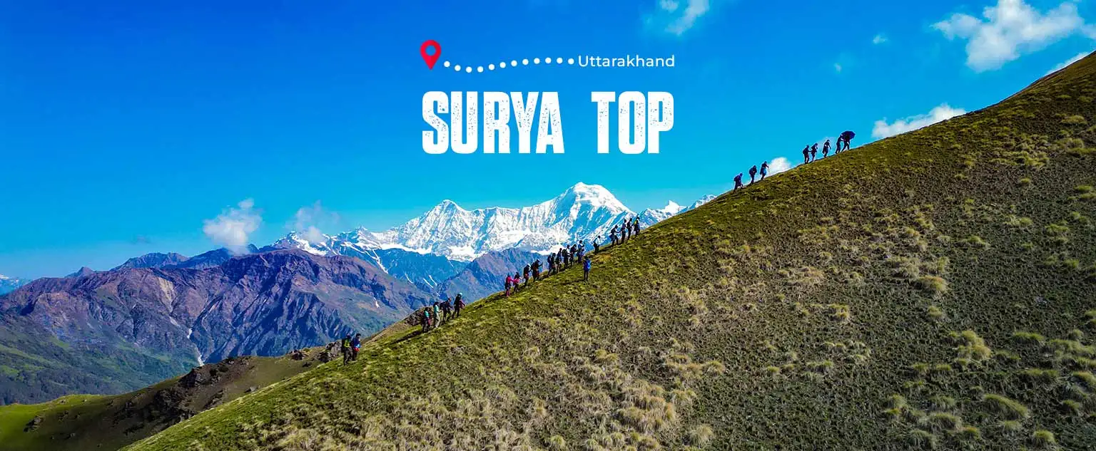 Surya Top