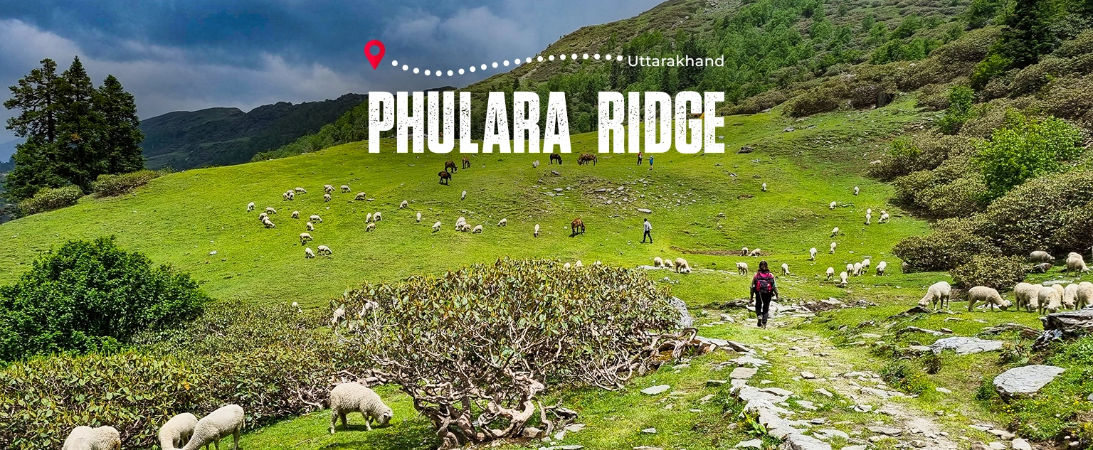 Phulara Ridge Trek