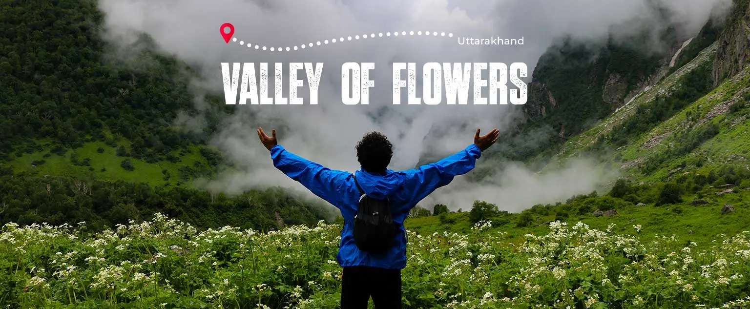 Valley Of Flower