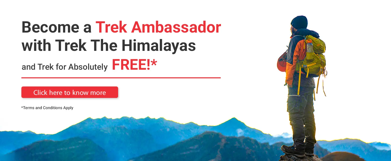 Trek Ambassador Policy