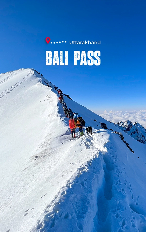 Bali Pass Trek