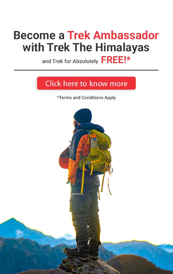 Trek Ambassador Policy