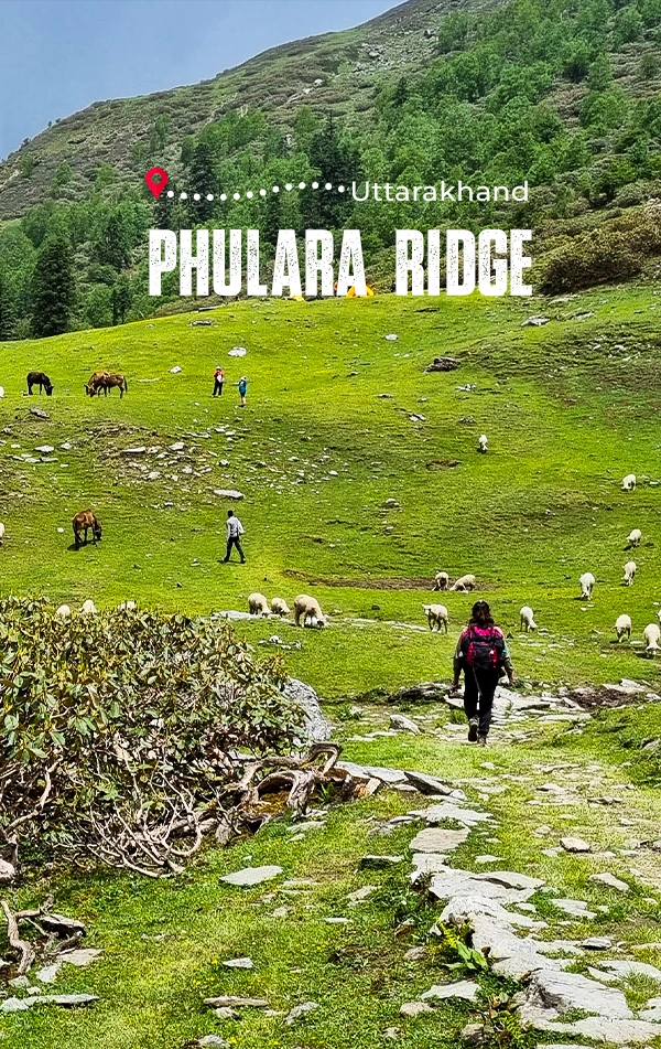 Phulara Ridge Trek