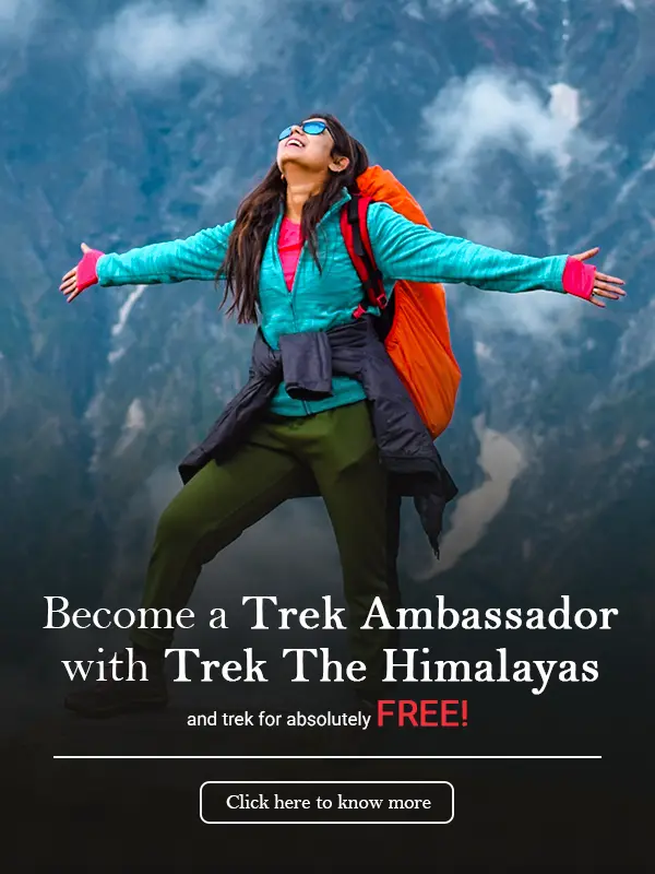Trek Ambassador