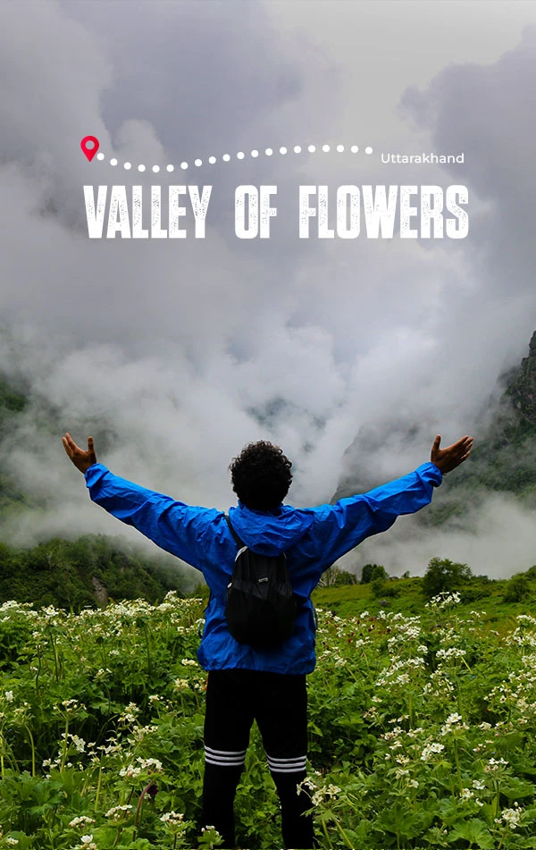 Valley Of Flower