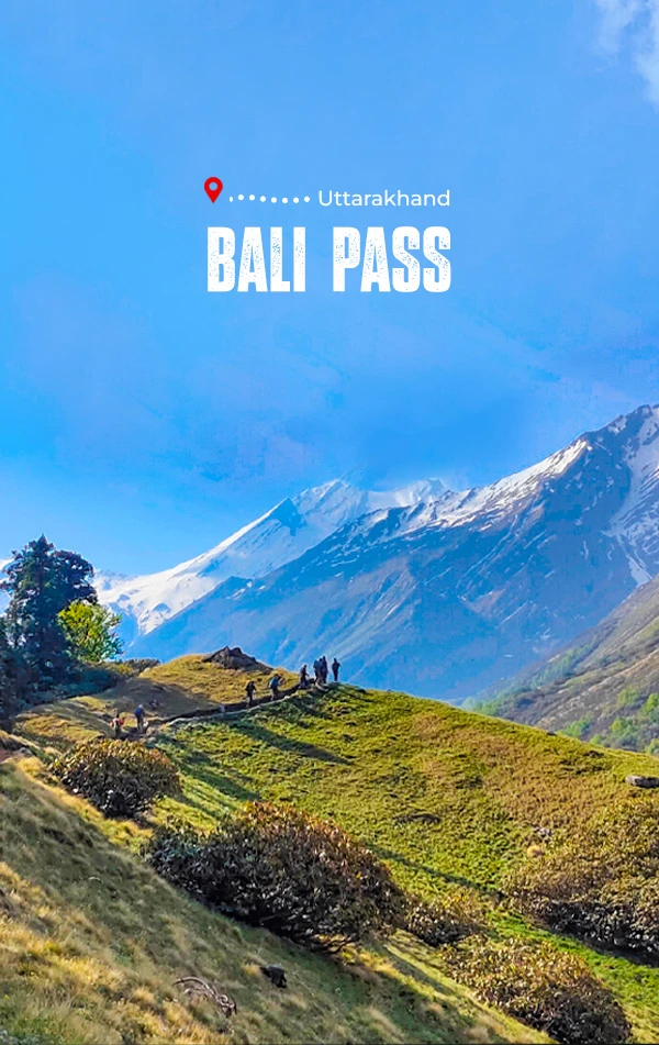 Bali Pass Trek