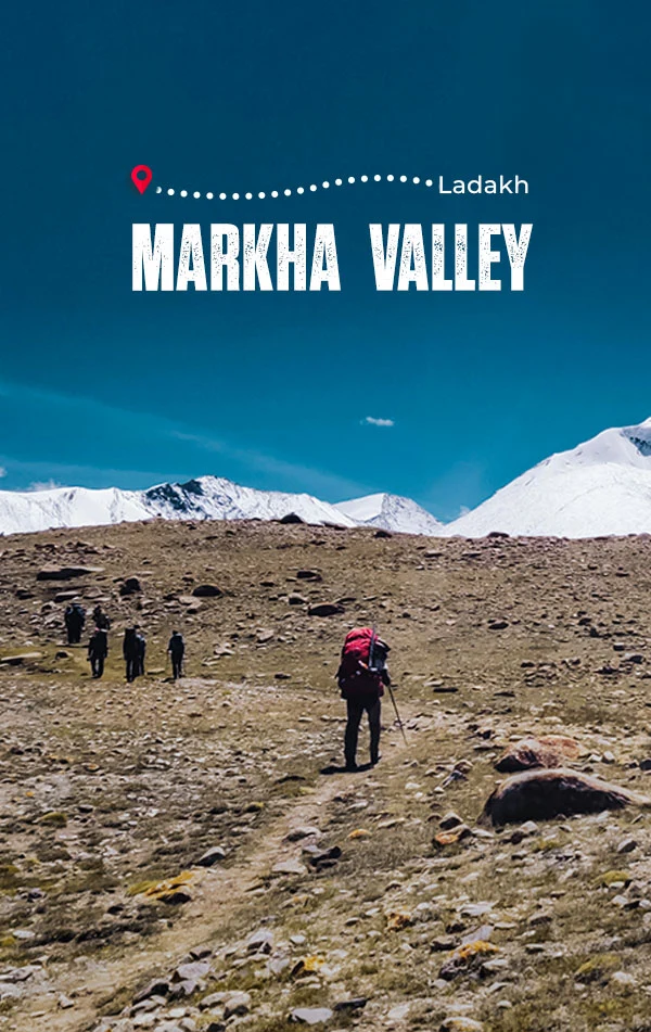 Markha Valley 
