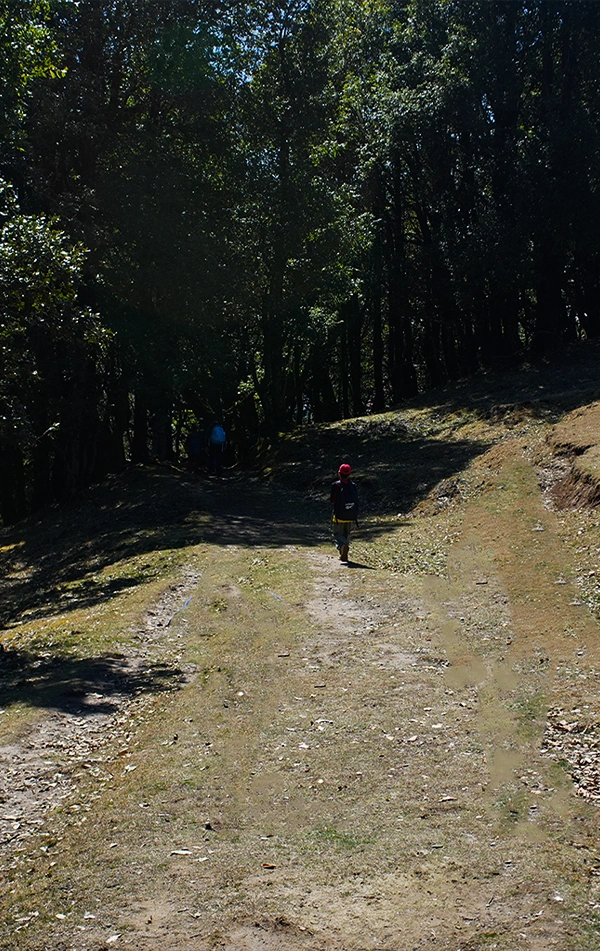 Nag Tibba Weekend Trek