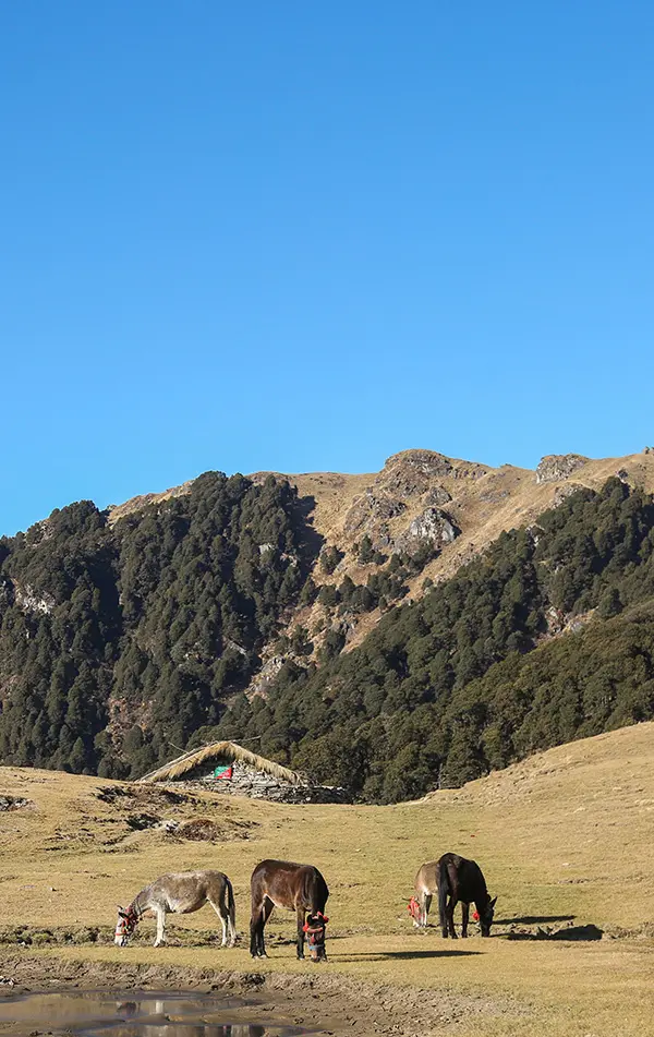 Panwali Kantha Trek