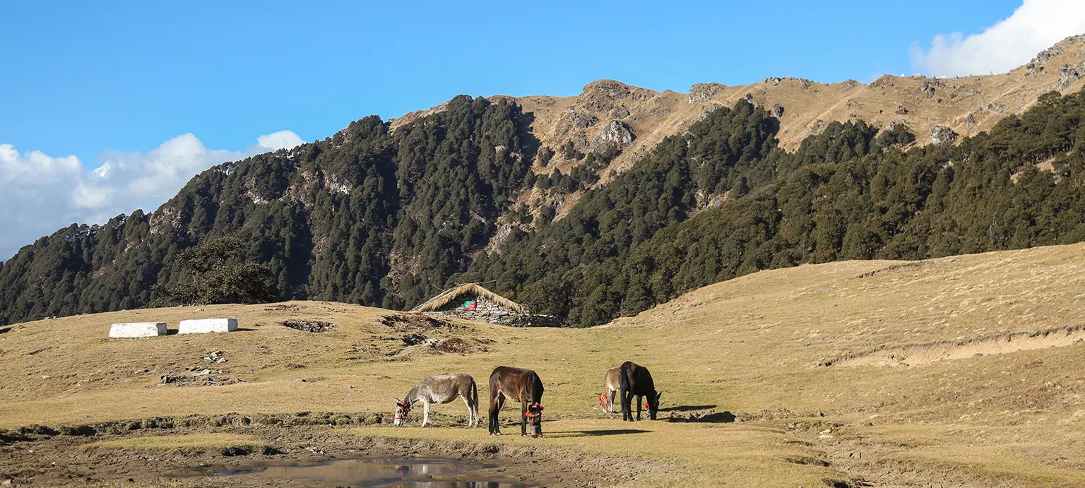 Panwali Kantha Trek