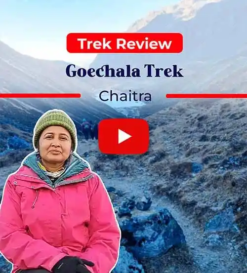 Goechala | Trekkers Experience.