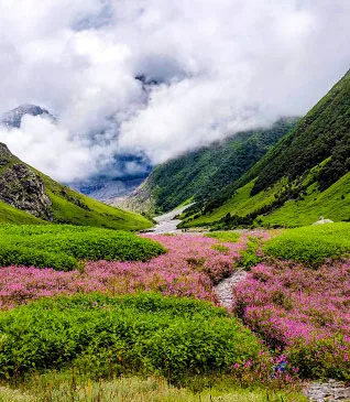 Valley of Flowers Trek   