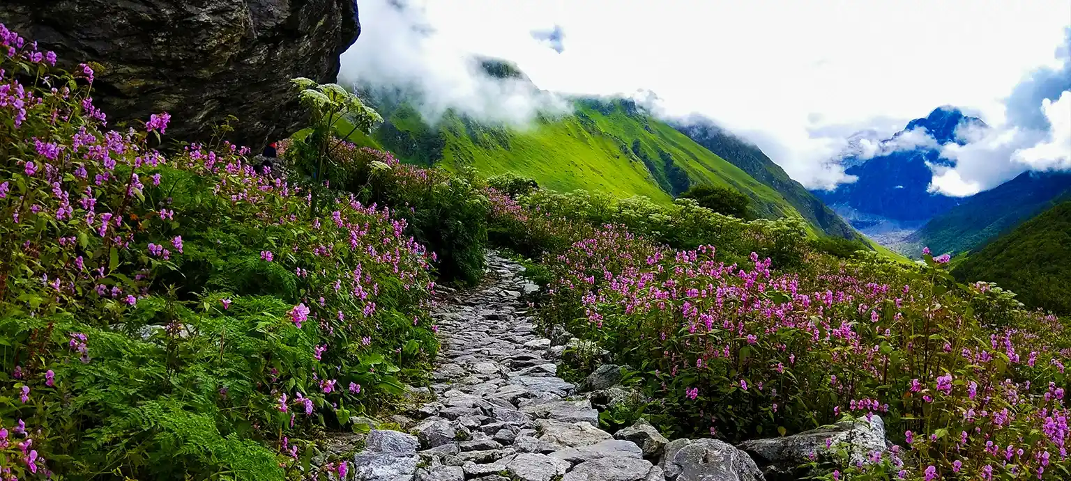 valley of flowers tour package