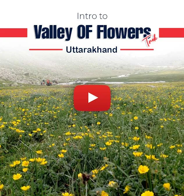 Valley of Flowers Trek    Informative Video