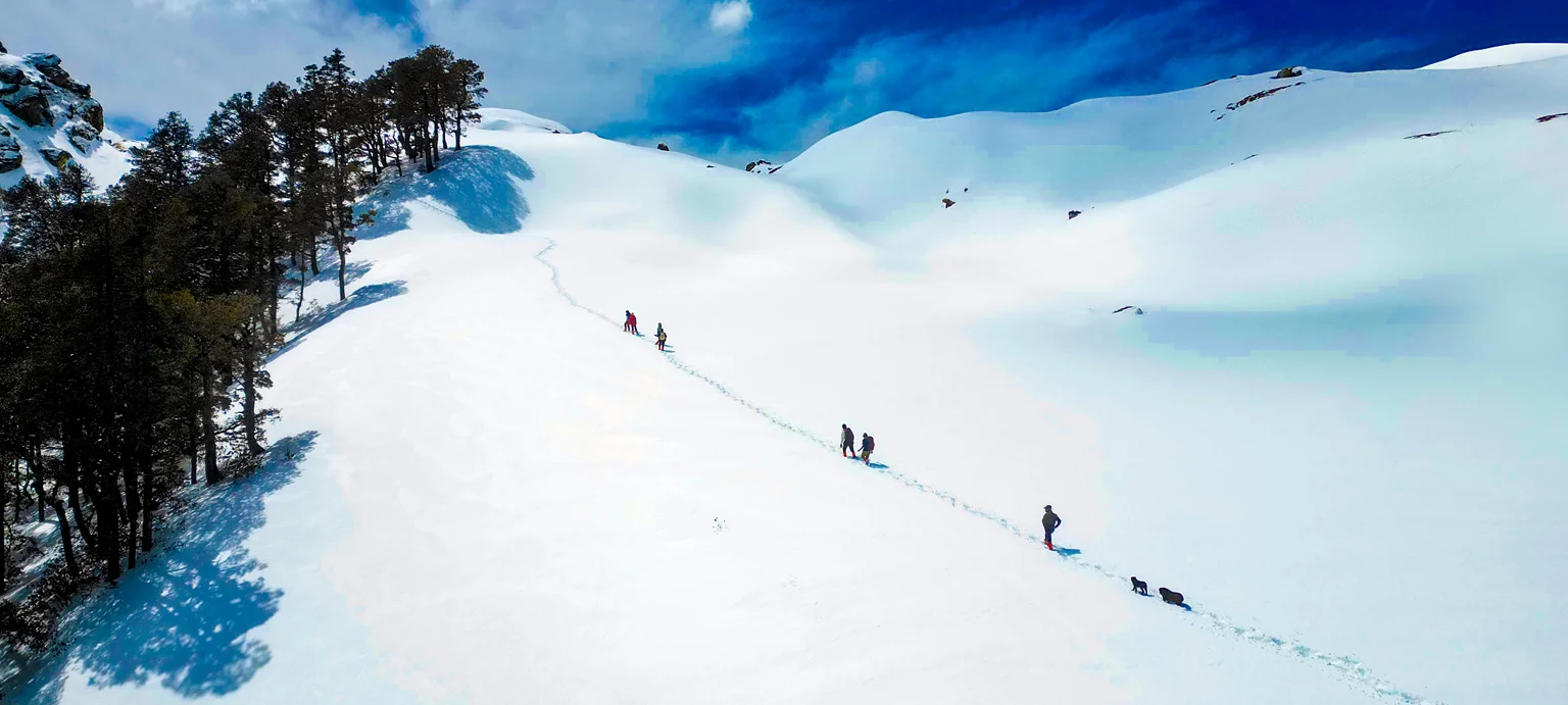 Winter Kuari Pass Trek