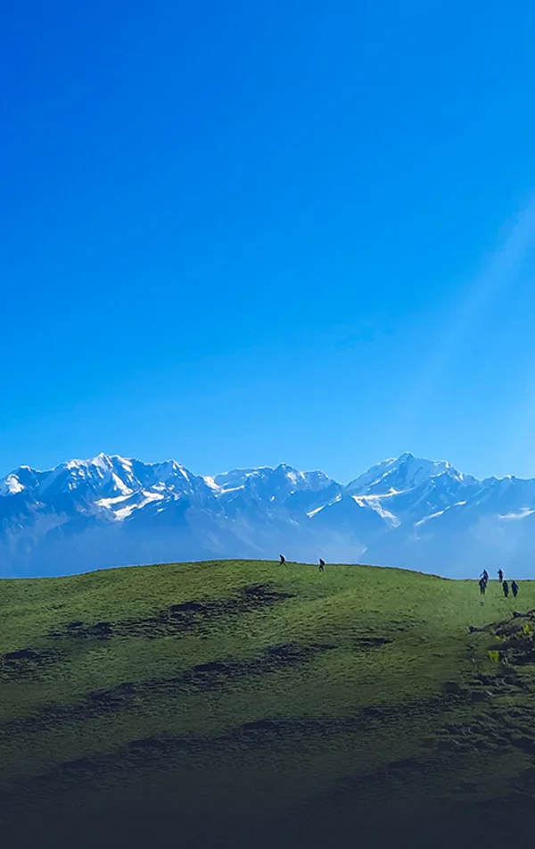 zSurya Top Trek