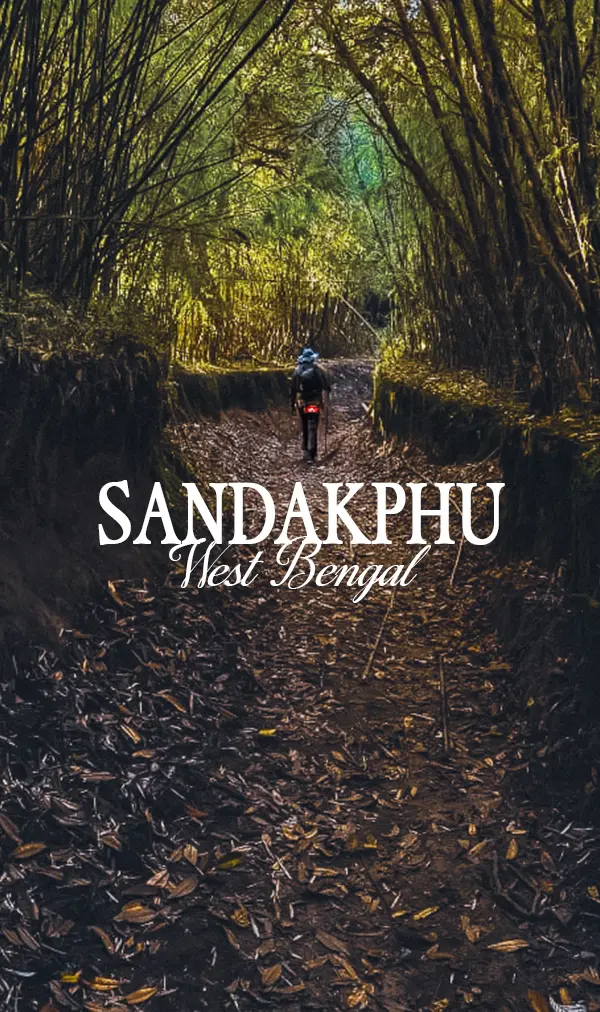 Sandakphu Trek: Highest Peak of West Bengal