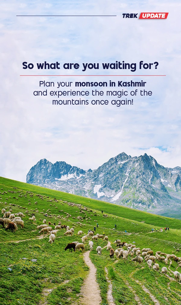 Step Into the Wild Beauty of Kashmir — 2026 Slots Open